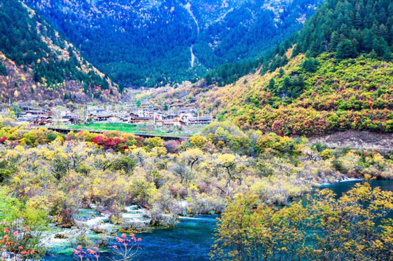 【纯净全景】成都、乐山、峨眉山、九寨沟、黄龙双飞一动六天游